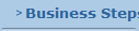 Business Steps